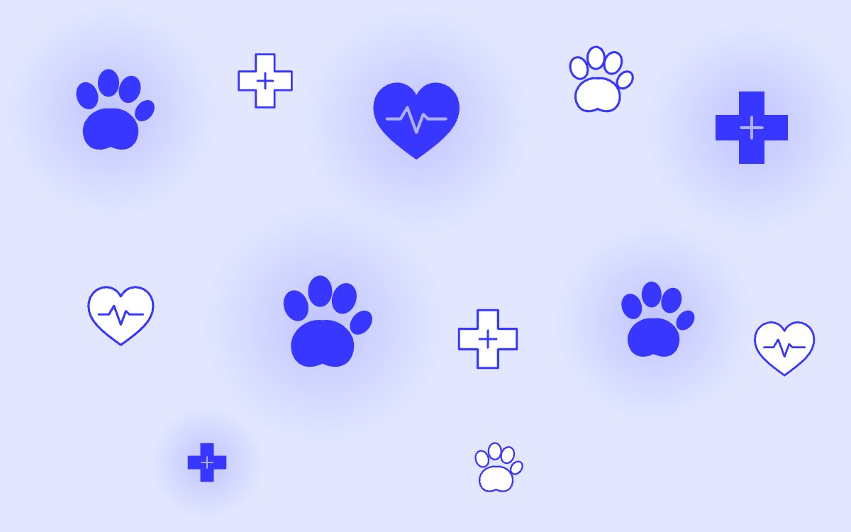 VetFriends — круглосуточный ветеринарный госпиталь